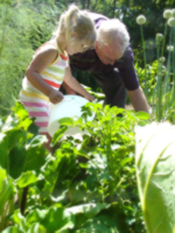 Picture of child gardening with an adult